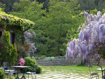 Sardinie - Agriturismo L' Agnata in Tempio Pausania